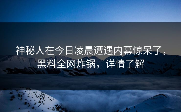 神秘人在今日凌晨遭遇内幕惊呆了，黑料全网炸锅，详情了解