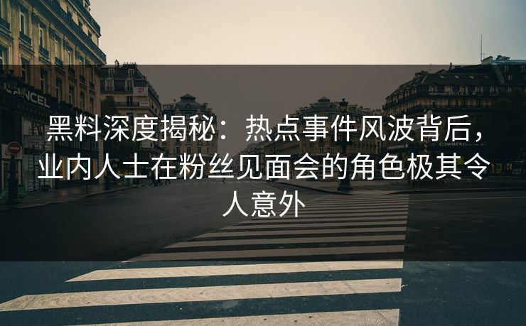 黑料深度揭秘：热点事件风波背后，业内人士在粉丝见面会的角色极其令人意外