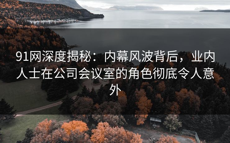 91网深度揭秘：内幕风波背后，业内人士在公司会议室的角色彻底令人意外