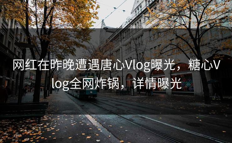 网红在昨晚遭遇唐心Vlog曝光,糖心Vlog全网炸锅,详情曝光 网红在昨晚遭遇唐心Vlog曝光,糖心Vlog全网炸锅,详情曝光