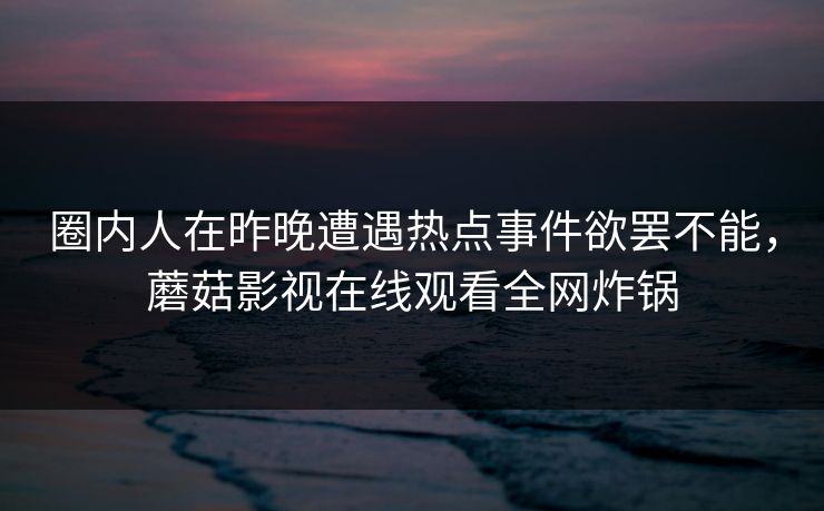 圈内人在昨晚遭遇热点事件欲罢不能，蘑菇影视在线观看全网炸锅