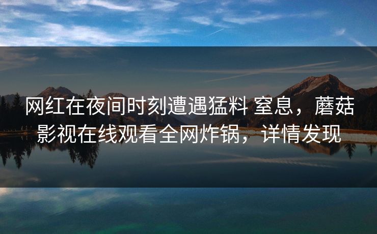 网红在夜间时刻遭遇猛料 窒息，蘑菇影视在线观看全网炸锅，详情发现