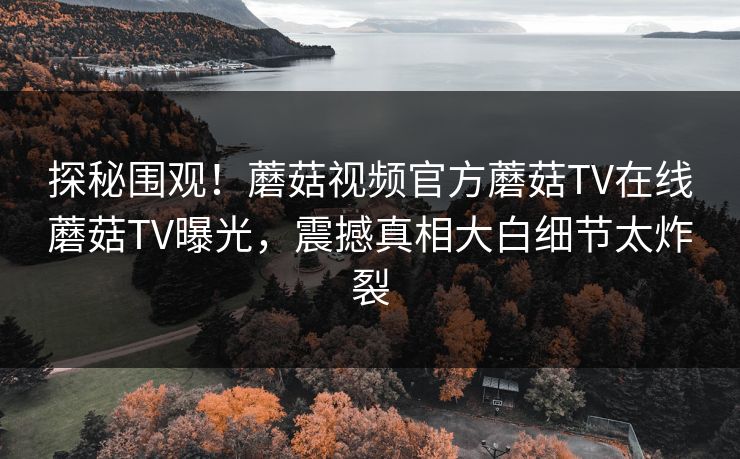 探秘围观！蘑菇视频官方蘑菇TV在线蘑菇TV曝光，震撼真相大白细节太炸裂
