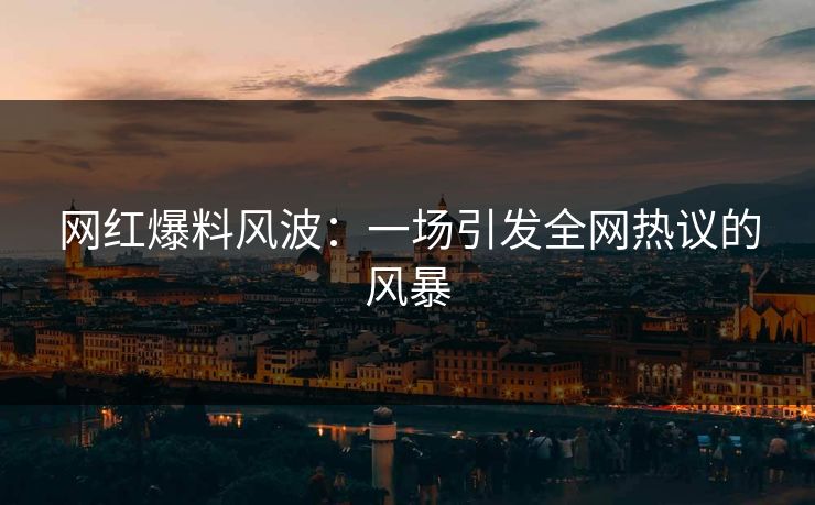 网红爆料风波：一场引发全网热议的风暴