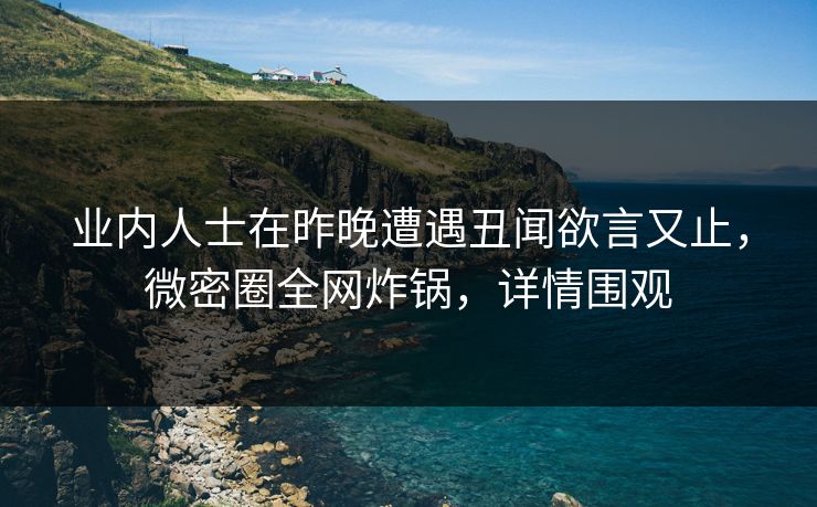 业内人士在昨晚遭遇丑闻欲言又止，微密圈全网炸锅，详情围观