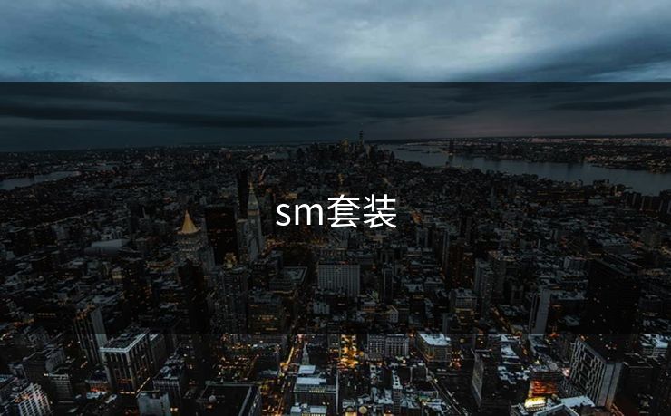 sm套装